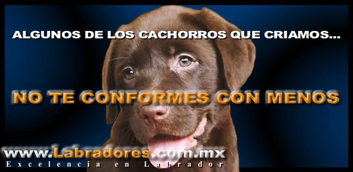 Algunas de nuestras Crias